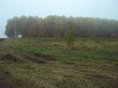Священная роща