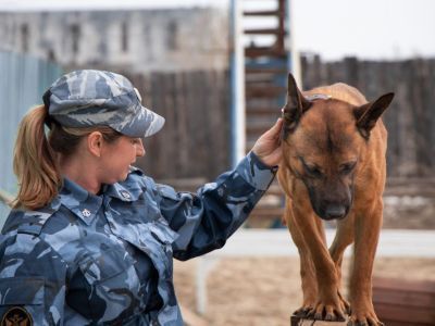 Кинологическая служба отмечает 110-летие со дня создания