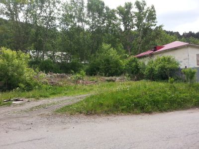 Памятник Васе Пантелееву