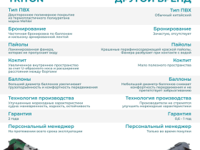 Лодка ПВХ ТРИТОН 315 (2024)