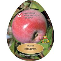 Яблоня Звездочка (подвой 54-118, полукарликовый) (в сетке)