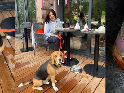 Четвероногий «аудит»: любимый пес популярной ведущей оценил качество отелей pet-френдли