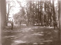 Усадьба Демьяново