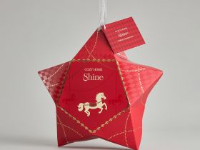 Набор подарочный Сияние/Shine