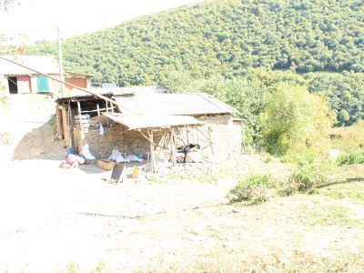 Могила шейха