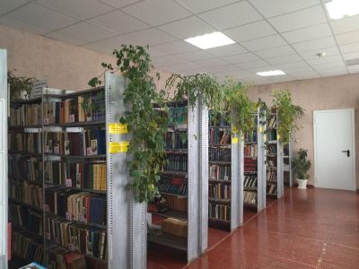 Барабинская библиотека – сектор № 3