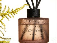 Диффузор Кактус 100 мл