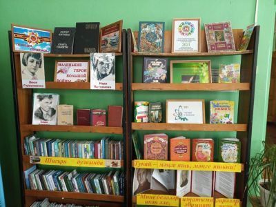 Шудинская библиотека