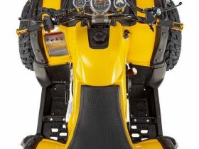 Квадроцикл RAPTOR Max Pro 250 (жёлтый/чёрный) (2024)
