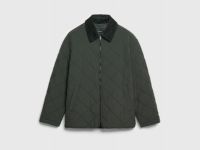 Лёгкая утеплённая куртка, Зеленый