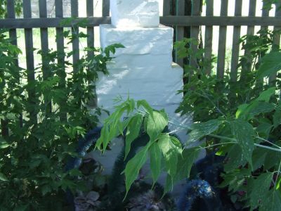 Братская могила партизан гражданской войны