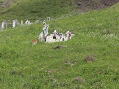 Пир Алишейха