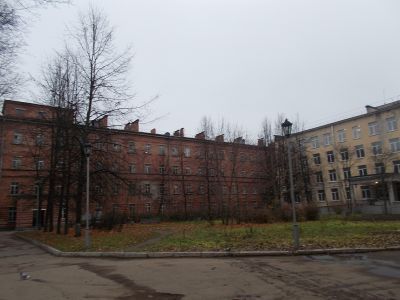 Сад перед северным фасадом Аптечного флигеля