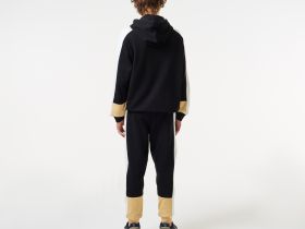 Мужские спортивные брюки Lacoste