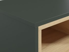 Тумба прикроватная Висмар 43x48 Темно-зеленый