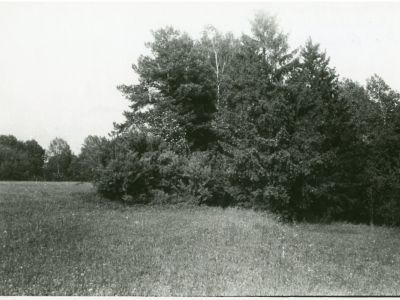 Памятное место, где находилась усадьба "Борогодское", в которой жил русский писатель, историк, художник П.П. Свиньин