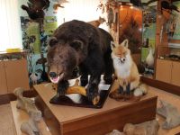 Краеведческий музей Шегарского района