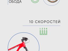 Горный велосипед Titan Racing Rogue Sport, год 2024, цвет Красный, ростовка 22