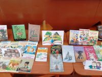 Опытнопольская сельская библиотека