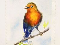 Набор открыток в подарочной упаковке Baohong 10x15 cм 20 л 300 г, хлопок 100%, мелкозернистый