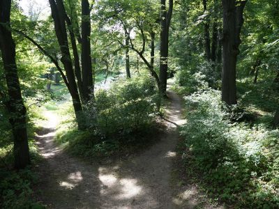 Английский парк с системой прудов