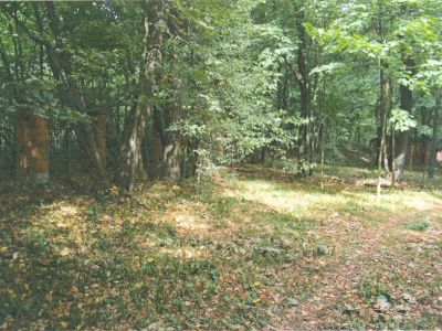 Усадьба "Чижово"