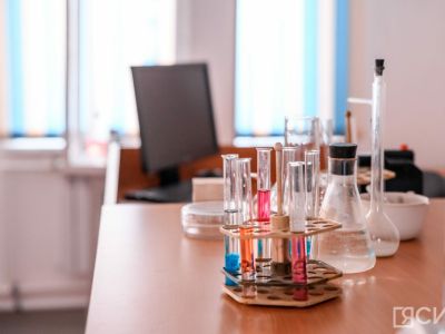 Родители школьников из Якутска рассказали, сколько тратят на репетиторов в неделю