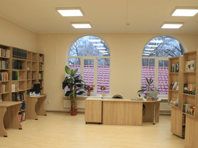 Низовская модельная библиотека