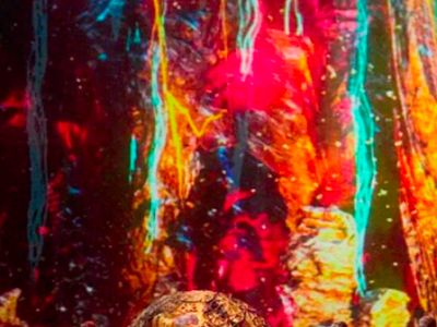 Золото Рейна