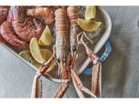 Staub Набор из 3 форм для запекания антично-бирюзовый Staub