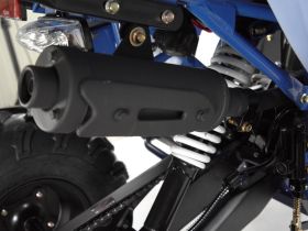 Квадроцикл WELS Thunder Evo