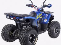 Квадроцикл AVANTIS HS8 Shark Premium