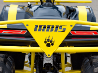Квадроцикл IRBIS ATV 125