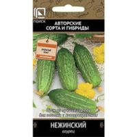 Огурец Нежинский
