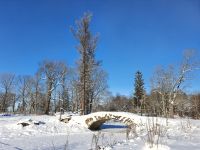 Усадьба Демидовых в Тайцах