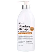 Шампунь с древесным ароматом Pogonia Himalaya Moringa Cure Intensive Perfume Shampoo Cloudy Wood
