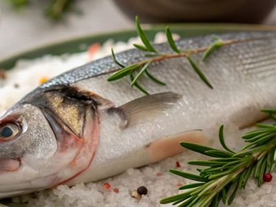 Польза и вред рыбы сибас: свойства и влияние на организм