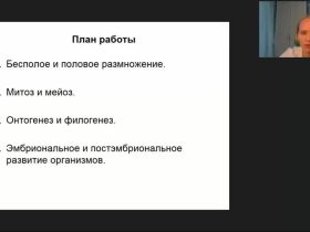 Международный вебинар "Категории и закономерности теории социальной работы"