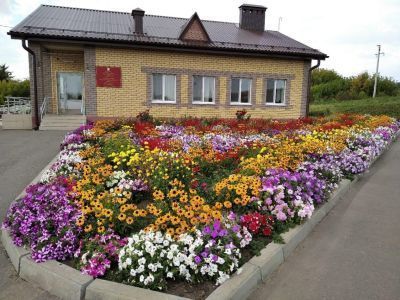 Бакрчинская библиотека – филиал № 11