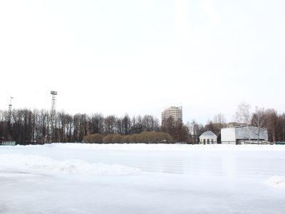 Городской сад