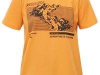 Футболка BASK