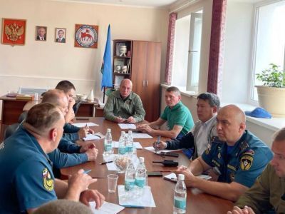 Оперативная ситуация по тушению лесных пожаров на 17 часов