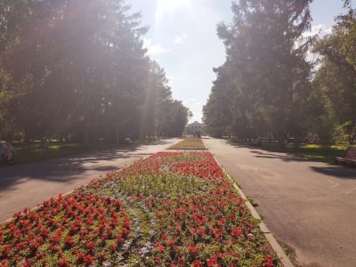 Бульвар  ул. Коммунистической