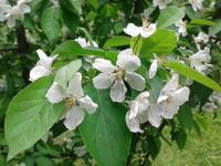 Музей-усадьба «Люблино»