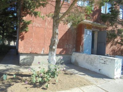 Ромашкинская сельская библиотека