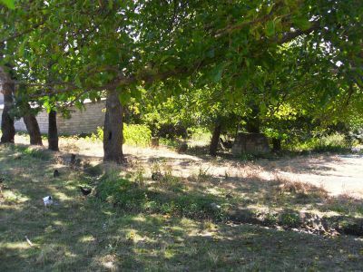 Стелы надмогильные