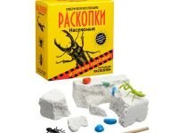 Набор для проведения раскопок "Насекомые"