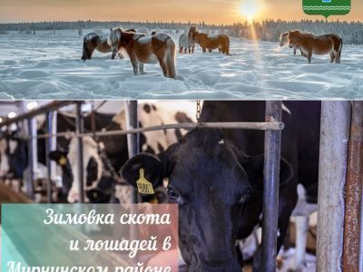 Сельское хозяйство: ситуация на январь