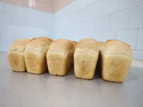 Глава Якутии встретился с семьей предпринимателей из Нижнеколымского района