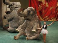 Театр «Уголок дедушки Дурова»